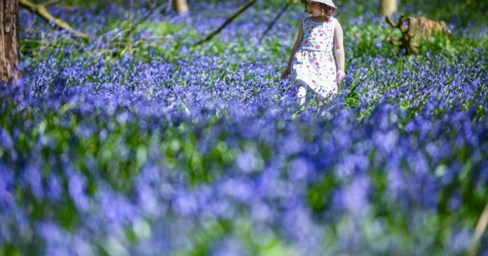 Prognoza meteo pentru următoarele 4 săptămâni: temperaturi mai ridicate decât în mod normal, conform specialiștilor în meteorologie
