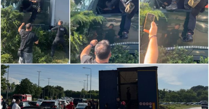 Polițiștii locali au aplicat spray lacrimogen și l-au lovit cu picioarele pe conducătorul TIR-ului scăpat de sub... Polițiștii locali au aplicat spray lacrimogen și l-au lovit cu picioarele pe conducătorul TIR-ului scăpat de sub...