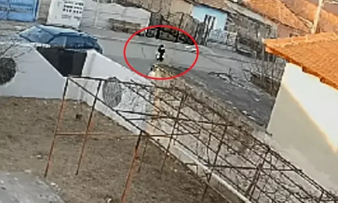 Doi copii omorâţi de câini: reacţii divergente. Pierderi de 2.400.000 de euro în Bucureşti, nicio pagubă în Craiova. Doi copii omorâţi de câini: reacţii divergente. Pierderi de 2.400.000 de euro în Bucureşti, nicio pagubă în Craiova.
