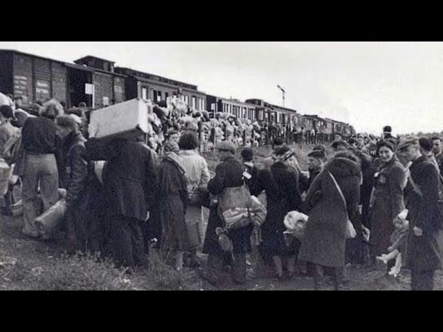 Harta repartițiilor staliniste din Basarabia creată cu sprijinul AI: „Bunicii și membrii familiei și-au găsit locul pe platformă”
