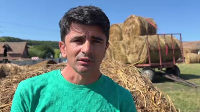 Momente înfricoșătoare cu numeroși șerpi toxici într-un râu plin cu apă. Aceștia au „scăpat” de la o gospodărie din China.